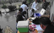 河源市和平县春季动物疫苗注射工作启动