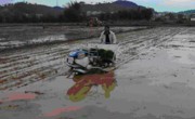 河源市和平县举办机械化插秧技术演示会