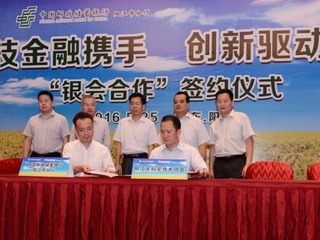 何真出席阳江市银会合作项目推进会议