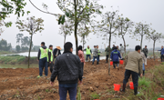 江门鹤山市古劳镇科协联合组织开展春季植树添绿科普志愿服务活动