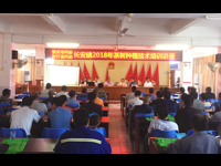 肇庆市科协封开县科协在长安镇举办茶树种植技术培训讲座