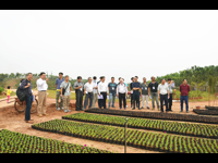 香港工程师学会环境分部科技交流团莅临肇庆考察交流