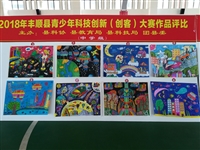 丰顺县举办青少年创新（创客）大赛