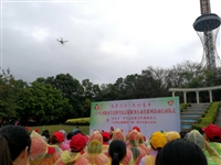 河源市科技馆参加2019年市志愿服务集中开放日活动