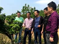 东源县科协到绿地美生态农业发展有限公司调研