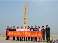 肇庆市科协、鼎湖区科协开展“学习党史国史，祭扫缅怀英烈”主题党日活动