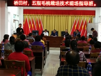 河源市科技咨询服务中心在紫金县义容镇举办五指毛桃栽培种植技术现场指导班