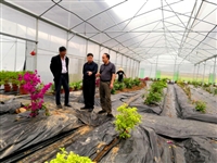 连平县科协领导到溪山镇九连山源丰生态农业有限公司调研