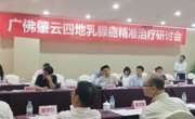云浮市举办乳腺癌精准治疗研讨会