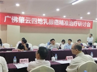 云浮市举办乳腺癌精准治疗研讨会