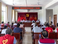 河源市科协党支部与梅花村党支部举办“结对帮扶共建”七一党日活动