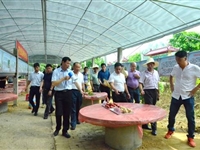 潮州市果树研究所举办农业新品种新技术展示助推乡村脱贫攻坚