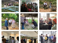 省中青年科学家为云浮乡村振兴、企业创新发展插上“科技之翼”