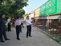 梅州市科协党组书记、主席林华玲到市农林科学院考察调研