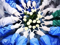 1500枝玫瑰送一线，最美的鲜花送给最美的白衣天使！ 一记惠州市惠阳区六谷裕兴现代农业产业园科普教育基地抗疫献爱心故事