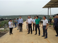 桂深科技创新联盟助力广西科技创新