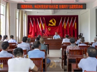 河源市科协党支部与梅花村党支部开展“结对共建 先锋同行”主题党日活动