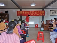 清远市清新区科协举办香瓜种植技术培训班