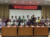 潮州市饶平县科协组织专家团队“上山下乡”助力乡村振兴