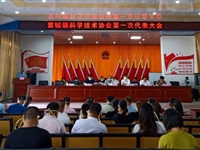 河源市紫金县紫城镇科协第一次代表大会召开