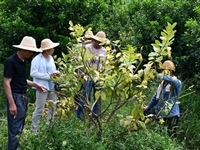潮州市果树研究所开展2020年全国科普日科技下乡活动