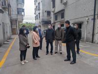 江门市科协主席吴森陪同市人大副主任钟军到睦洲进行创文工作再督导