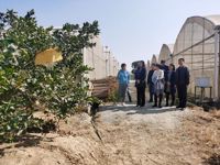 惠州市惠阳区科协到广东大橘果业调研科普工作