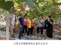 中青年科学家助力始兴乡村振兴发展