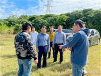 驻大成镇帮扶工作队前往电白沙琅藿香种植基地参观考察