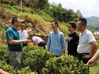 饶平县科协委员林伟秋同志荣获“全国科学素质工作先进个人”称号