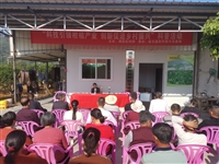 潮州市潮安区科协举办柑桔种植技术培训班及技术推广咨询活动