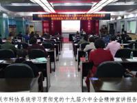 韶关市科协召开全市科协系统学习贯彻党的十九届六中全会精神宣讲报告会