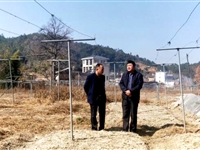 河源市和平县科协组织科技工作者送科技下乡