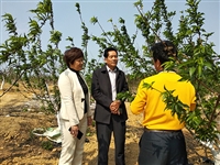 汕尾市陆丰市科协开展科普系列活动