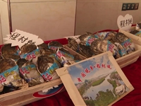 省科协领导调研阳西县科技工作情况