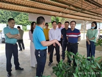 省科协调研组到云浮罗定市开展科普教育基地建设调研