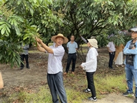 潮州市饶平县科协到果园开办专题实践课