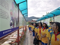 云浮市新兴县科协举办“中小学生进基地”科普嘉年华活动