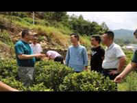 饶平县科协委员林伟秋同志荣获2021年广东“最美科技工作者”称号