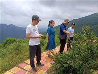 饶平县科协带专家深入茶园，拓展科技服务平台