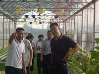 清远市科协、区科协领导到誉北江农业公园科普教育基地调研