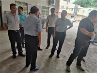 佛山、云浮两市科协到云浮郁南宋桂镇开展调研乡村振兴驻镇帮镇扶村工作