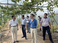 茂名市科协到科普示范基地调研助力乡村振兴