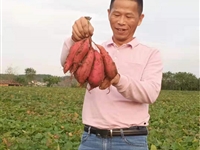 2021年揭阳市“最美科技工作者”冯顺洪事迹