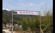 清远市清城区科协领导到枫树墩农场进行调研