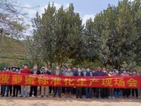 茂名市老科协在化州老区举办“菠萝蜜标准化生技术培训班”