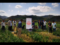 肇庆市科协2022年科技服务助力乡村振兴活动在四会、广宁举办