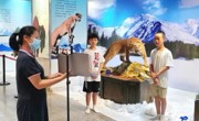东莞科学馆“野生动物推介官之动物讲解视频制作展评活动”顺利开展