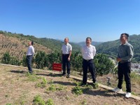 云浮市科协开展“南药科普”调研