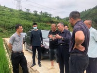 “玉米稻之父”程旭波到云浮市郁南县平台镇共谋乡村振兴